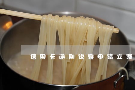 信用卡逾期说要申请立案 信用卡逾期说要申请立案