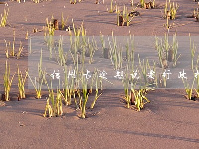 信用卡逾期说要行政拘留 信用卡逾期说要行政拘留