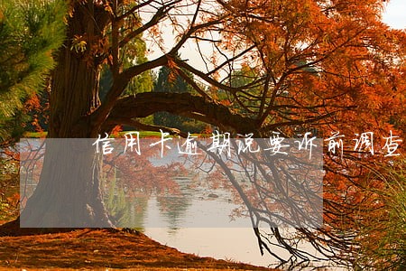 信用卡逾期说要诉前调查