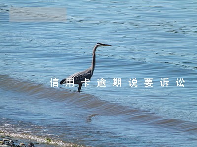 信用卡逾期说要诉讼