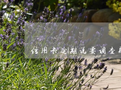 信用卡逾期说要调查财产情况 信用卡逾期说要调查财产情况