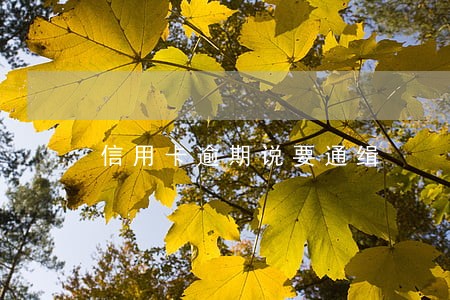 信用卡逾期说要通缉 信用卡逾期说要通缉