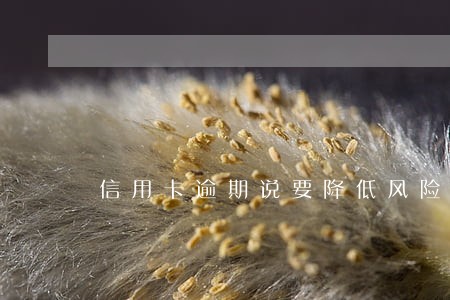 信用卡逾期说要降低风险 信用卡逾期说要降低风险