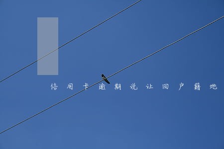 信用卡逾期说让回户籍地 信用卡逾期说让回户籍地