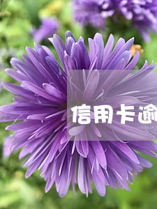 信用卡逾期说让民警上门 信用卡逾期说让民警上门