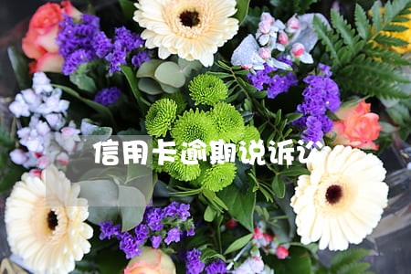 信用卡逾期说诉讼