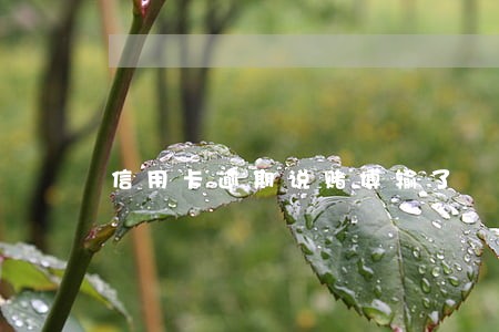 信用卡逾期说赌博输了 信用卡逾期说赌博输了
