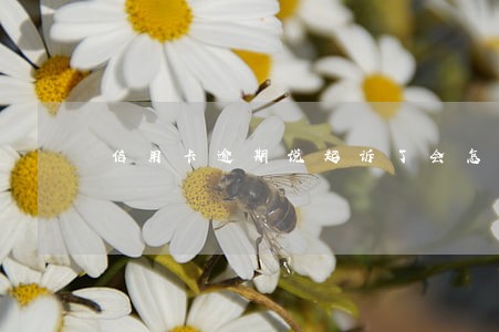 信用卡逾期说起诉了会怎么样 信用卡逾期说起诉了会怎么样
