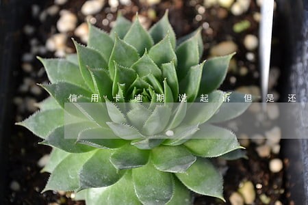 信用卡逾期说起诉但是还了最低 信用卡逾期说起诉但是还了最低