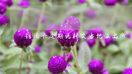 信用卡逾期说转交当地派出所