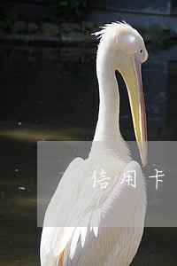 信用卡逾期说还二百诚意金 信用卡逾期说还二百诚意金