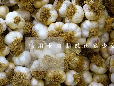 信用卡逾期说还多少就停催