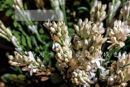 信用卡逾期说还完钱也要坐牢 信用卡逾期说还完钱也要坐牢