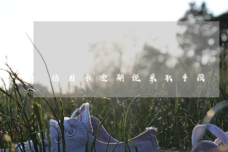 信用卡逾期说采取手段 信用卡逾期说采取手段