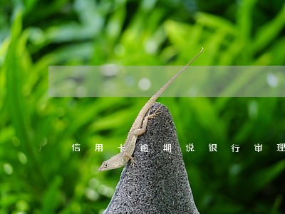 信用卡逾期说银行审理 信用卡逾期说银行审理