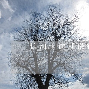信用卡逾期说银行报案了