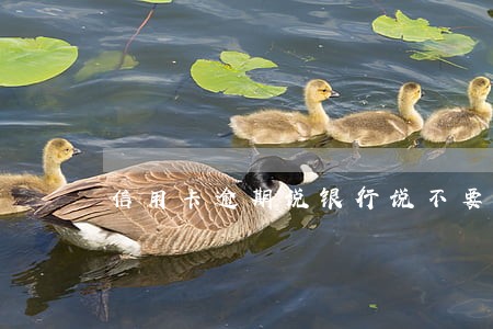信用卡逾期说银行说不要利息 信用卡逾期说银行说不要利息