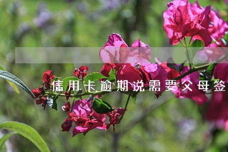 信用卡逾期说需要父母签字 信用卡逾期说需要父母签字