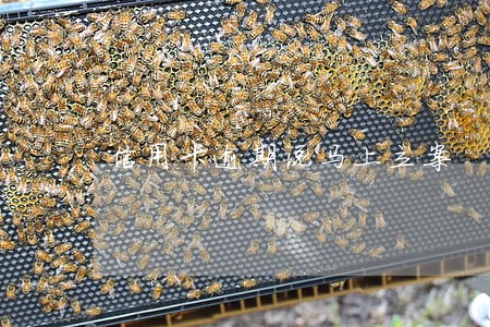 信用卡逾期说马上立案 信用卡逾期说马上立案