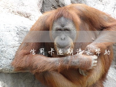 信用卡逾期请求帮助 信用卡逾期请求帮助