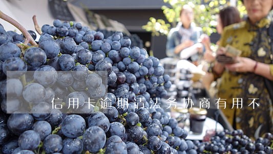 信用卡逾期请法务协商有用不 信用卡逾期请法务协商有用不