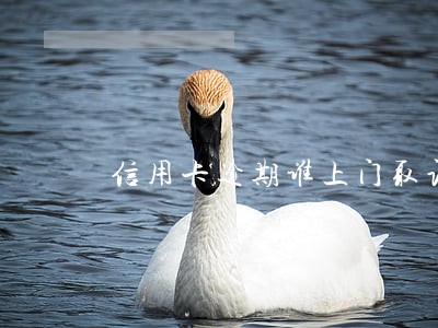 信用卡逾期谁上门取证 信用卡逾期谁上门取证