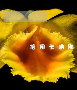 信用卡逾期谁帮我换一下啊 信用卡逾期谁帮我换一下啊