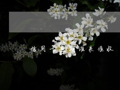 信用卡逾期谁来催收