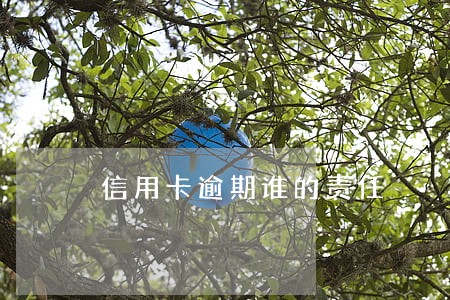 信用卡逾期谁的责任 信用卡逾期谁的责任