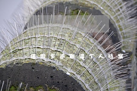 信用卡逾期调个人档案