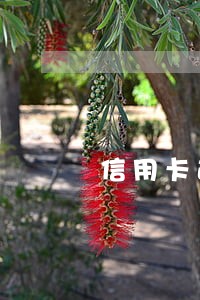 信用卡逾期调整申请 信用卡逾期调整申请