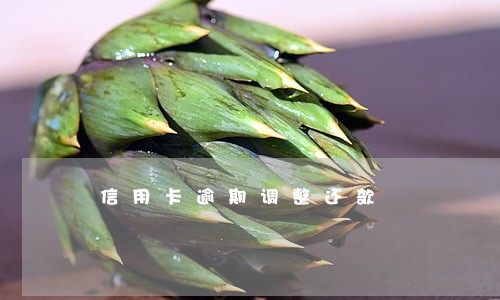 信用卡逾期调整还欹