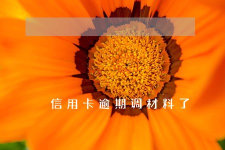 信用卡逾期调材料了