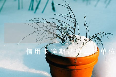 信用卡逾期调查工作单位配合