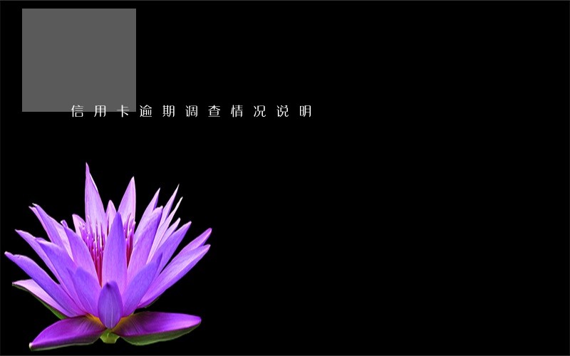 信用卡逾期调查情况说明 信用卡逾期调查情况说明