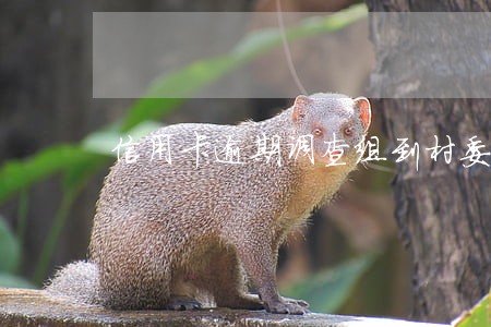 信用卡逾期调查组到村委会