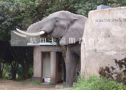 信用卡逾期调查署 信用卡逾期调查署