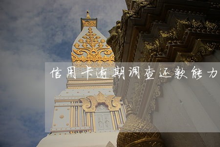 信用卡逾期调查还款能力 信用卡逾期调查还款能力