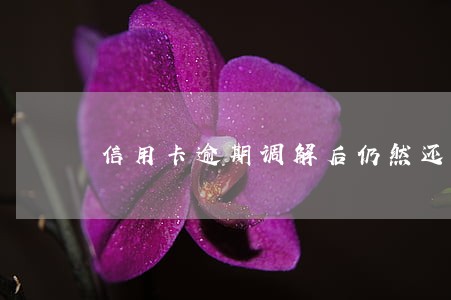 信用卡逾期调解后仍然还不了 信用卡逾期调解后仍然还不了
