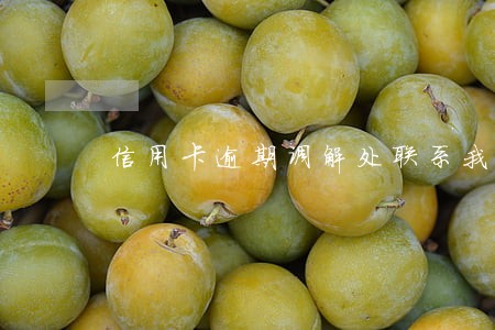 信用卡逾期调解处联系我怎么办 信用卡逾期调解处联系我怎么办
