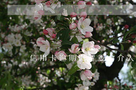 信用卡逾期调解委会介入吗
