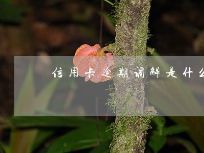 信用卡逾期调解是什么 信用卡逾期调解是什么