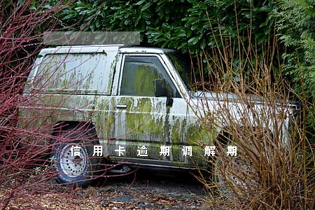 信用卡逾期调解期
