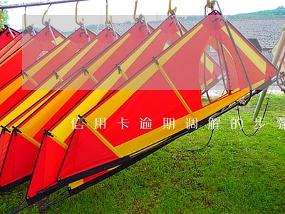 信用卡逾期调解的步骤上海 信用卡逾期调解的步骤上海