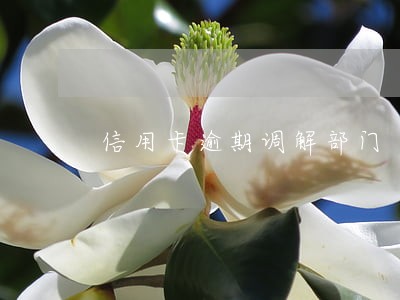 信用卡逾期调解部门 信用卡逾期调解部门