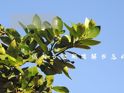 信用卡逾期谅解书怎么写 信用卡逾期谅解书怎么写