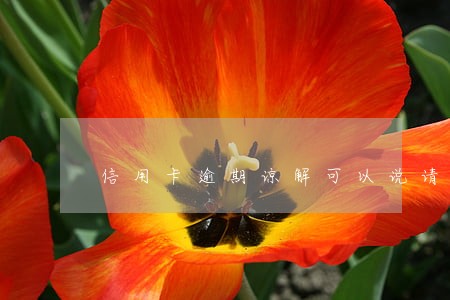 信用卡逾期谅解可以说请什么 信用卡逾期谅解可以说请什么