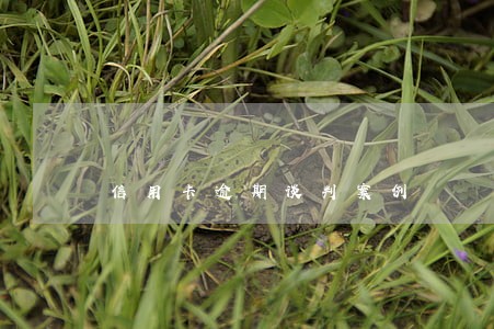 信用卡逾期谈判案例 信用卡逾期谈判案例