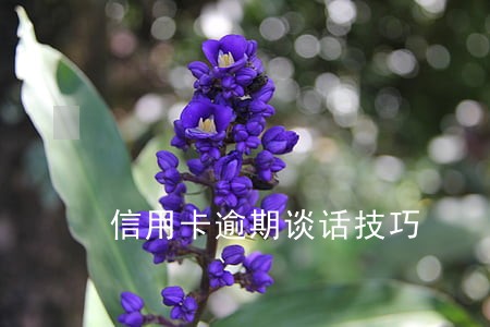信用卡逾期谈话技巧