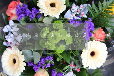 信用卡逾期谈话高手视频 信用卡逾期谈话高手视频